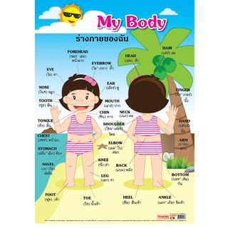 โปสเตอร์เรื่องร่างกายของฉัน My Body #EP-162 โปสเตอร์พลาสติก PP