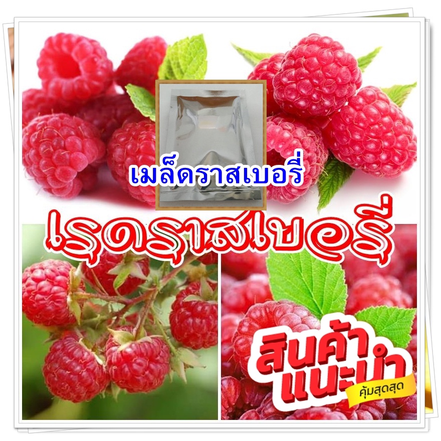 เมล็ดเรดราสเบอรี่ Redraspberryบรรจุซองละ 100 เมล็ด .