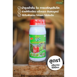 ปุ๋ยบำรุงใบและลำต้น รุ่งโรจน์1 ไม้สวยด้วยสปา ชนิดน้ำ [ปริมาณ 500 cc.]