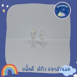 โมเดลคนหรือคนจำลอง PA050 สำหรับงานสเกลโมเดล และ เพื่อการตกแต่ง / Human Model PA050