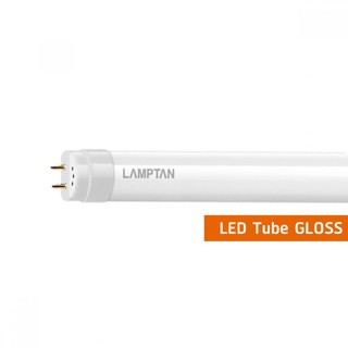 🇹🇭พร้อมส่ง Lamptan หลอดนีออน แลมป์ตัน LED Tube T8 รุ่น Gloss