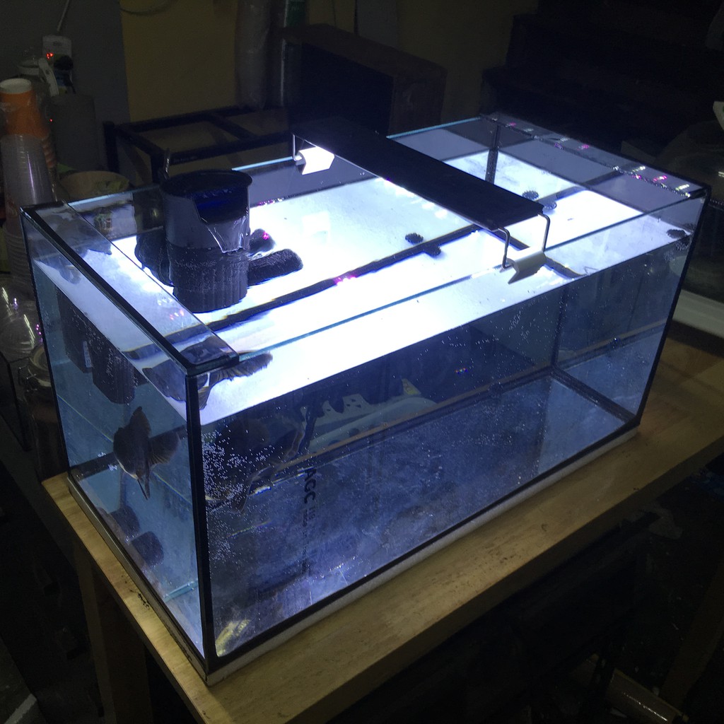 ตู้ปลา เลี้ยงปลาทอง ปลาหมอ และปลาอื่นๆ กระจกหนา 5 มิล ขนาด 24 นิ้ว - รูปที่ 2