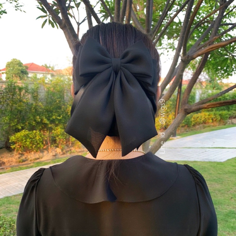 เน็ตติดผม แบบใหม่ล่าสุด พร้อมส่ง งานคุณภาพ เน็ตติดผมสีดำ เกรดพรีเมียม สุดปราณีต ทรงเรียบหรู