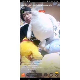 ตุ๊กตามือ 1 มือ 2 คุณbowwinaka