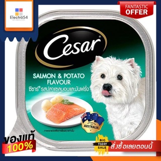 ซีซาร์ ฟิช ปลาแซลมอนพร้อมมันฝรั่ง 100กCESAR SALMON WITH POTATO 100G