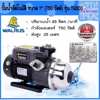 ส่งฟรี!!! WALRUS ปั๊มน้ำอัตโนมัติ TQ800 ปั๊มน้ำ+ฝาครอบ ปั้มน้ำอัตโนมัติ ปั้มน้ำ ปั้มอัตโนมัติ ปั๊มอัตโนมัติ ปั้มออโต้