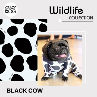 ชุดเก็บขนCrazydog Black cow