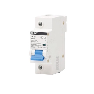 CHNT CHINT CB-125G 1P 80A 100A 125A DC 60V/110V AC230V Miniature Circuit breaker M00