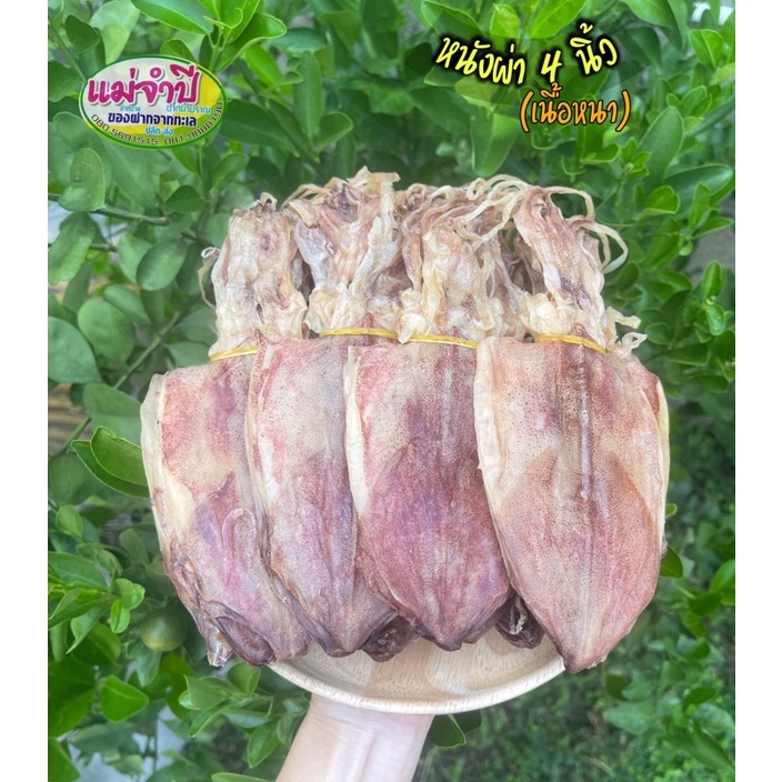 ปลาหมึกแห้ง ผ่า 4นิ้ว (เนื้อหนา)ไม่เค็ม สด สะอาด  หมึกผ่า หมึกย่าง หมึกบด #อาหารทะเลแห้ง #อาหารทะเล #หมึกแห้ง #ปลาหมึกบด – โปรปัง