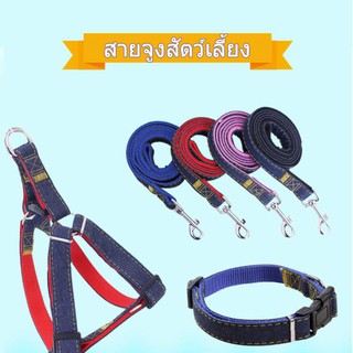 #P047 ปลอกคอสุนัขสัตว์เลี้ยงขนาดเล็กปรับได้ขนาดใหญ่ Dog Harness with leash