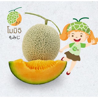 เมล็ดเมล่อนญี่ปุ่นพันธุ์โมมิจิ 10เมล็ด