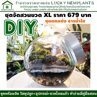 DIY ชุดจัดสวนขวด ไซต์ XL สวนในขวดแก้ว ธารน้ำใส 679 บาท