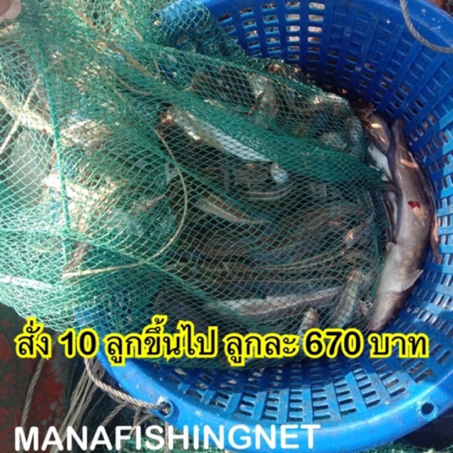 แหจับปลา ตาข่ายดักปลา ที่ดักกุ้ง ไอ้โง่สี่เหลี่ยม ตัวยาว 8 เมตร ตาถี่ 1.5 เซน มีทางเข้าซ้าย-ขวา 📌พับเก็บได้