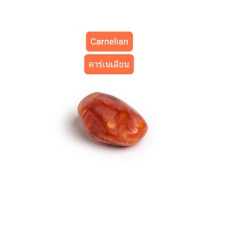 อัญมณีคาร์เนเลียน Carnelian สำหรับคนเกิดวันพฤหัสบดี