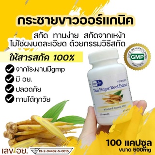 สินค้ามีพร้อมสำหรับจัดส่งได้ทุกวันใหม่จากโรงงานกระชายขาวสกัด 1 กระปุกบรรจุ 100 แคปซูล 500 mg.อย.เลขที่ 13-2-04462-5-0015