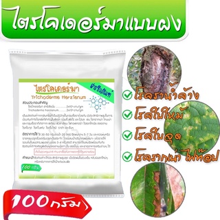 🔥ลด50% ใส่โค้ด INC3LE7Z🔥 ไตรโคเดอร์มา ขนาดซอง 100 กรัม ผสมน้ำใช้ได้เลย กำจัด และป้องกัน เชื้อรา แบบไม่ใช้เคมี