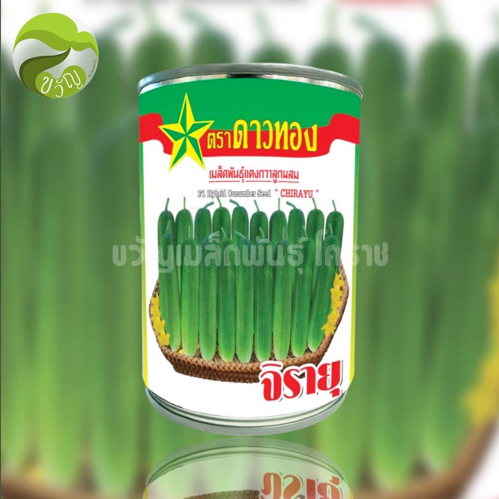 จิรายุ แตงกวาลูกผสม ตราดาวทอง ลอตใหม่ ล่าสุด