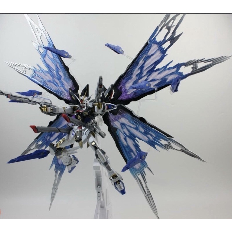 [ZGFM-X20A] MG 1/100 Strike Freedom Ver.MB (8802) + Wing of light parts [Daban]