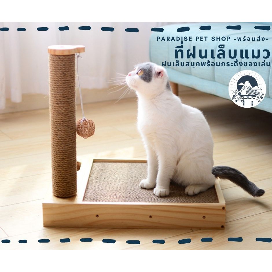 พร้อมส่ง เสาฝนเล็บแมว ที่ลับเล็บแมว ที่ฝนเล็บแมว แบบเสาเดียว / ที่ข่วนเล็บแมว ของเล่นแมว [PT_0008]