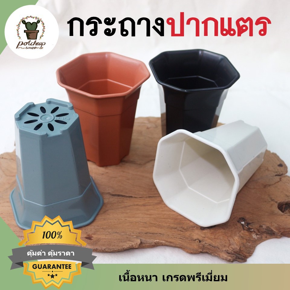 กระถางพลาสติกทรงสูงปากแตร 4 นิ้ว 3 นิ้ว