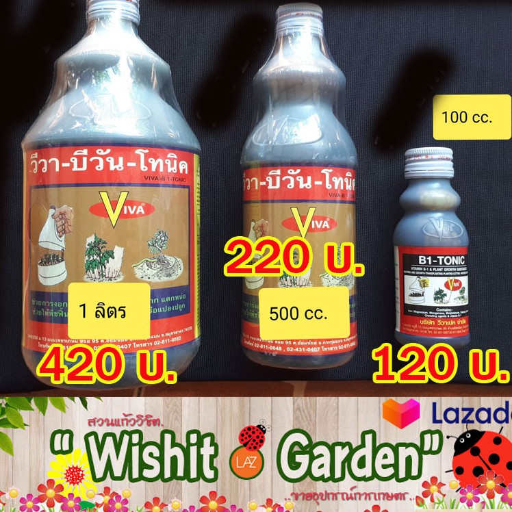 ยาเร่งราก วีว่า บีวัน โทนิค เร่งการฟื้นฟู ต้นไม้ที่ทรุทโทรม ฉีดพ่นหรือผสมน้ำทาที่กิ่งที่ต้องการบำรุง