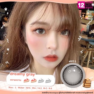 Dreamy Gray/สีเทา [สายตาสั้น -0.00 ถึง -10.00] Size Bigeye (L) ขนาดใหญ่/ คอนแทคเลนส์ / ยี่ห้อ Kitty Kawaii