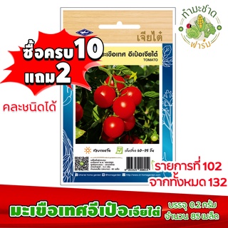 (ซื้อ10แถม2) เมล็ดพันธุ์ มะเขือเทศอีเป๋อ เจียไต๋ Tomato ประมาณ 85เมล็ด เจียไต๋ เมล็ดพันธุ์พืช เมล็ดพันธุ์ผัก เมล็ดผัก