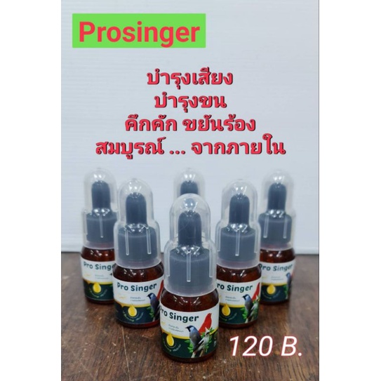 Prosinger Vit For Singing Birdบำรุงนกให้สมบูรณ์ จากภายใน ...คึกคัก ขยันร้อง น้ำเสียง ดี ขนสวย ขนาด 25 ml