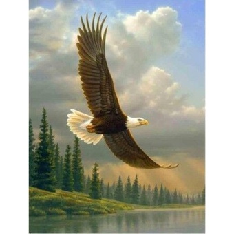 DIY 5D 5D รอบลูกปัดเต็ม Eagle เพชรจิตรกรรม,ลูกปัด