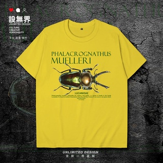 เสื้อยืดโอเวอร์ไซส์ชุดไม่มีขอบเขต Rainbow stag ด้วงธรรมชาติแมลงรูปแบบแขนสั้นเสื้อยืดผู้ชายและผู้หญิงบุคลิกภาพข้อความเห็น