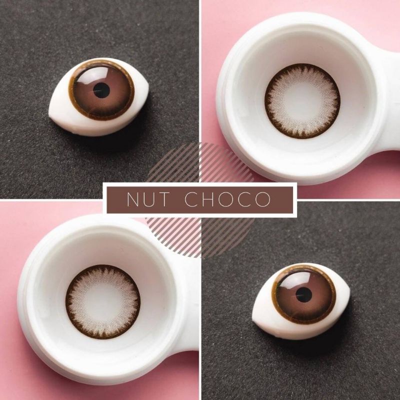 💜 NUT Choco Brown บิ๊กอาย สีช็อคโก้ สีน้ำตาล แบ๊ว ตาโต Dream Color1 Contact Lens Bigeyes คอนแทคเลนส์