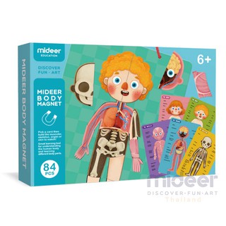 Mideer Body Magnet เรียนรู้อวัยวะต่างในร่างกาย