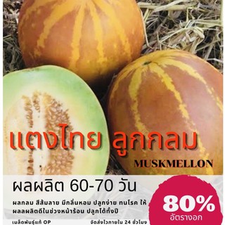 เมล็ดพันธุ์ แตงไทยลูกกลม 250 เมล็ด แตงไทย Muskmelon (ซื้อ 10 แถม 1 คละอย่างได้)