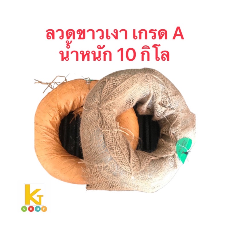 ลวดสังกะสี ขดใหญ่ เกรด A ลวดกัลวาไนซ์ ลวดชุบสังกะสี ลวดขาว ขดใหญ่ 10 กิโล เบอร์ 24 เบอร์ 26 ลวดเงา