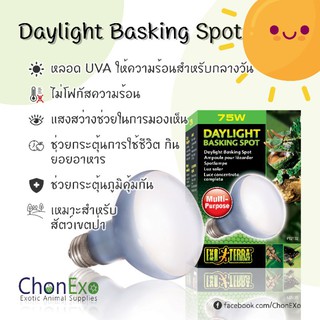 (พร้อมส่ง)Exoterra หลอดไฟเลี้ยงสัตว์ UVA Daylight Basking Spot ( 75w , 100w ) (หลอดไฟให้ความร้อนสำหรับกลางวัน)