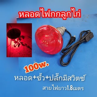 หลอดไฟกกลูกไก่ พร้อมใช้งาน (100w+ปลั๊กสวิตซ์)​