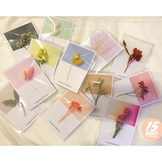 พร้อมส่ง!! การ์ดปัจฉิมการ์ดดอกไม้แห้งการ์ดเกาหลีสีพาสเทล(รับใบไหนรบกวนแจ้งแม่ค้าในแชททีนะค้า)