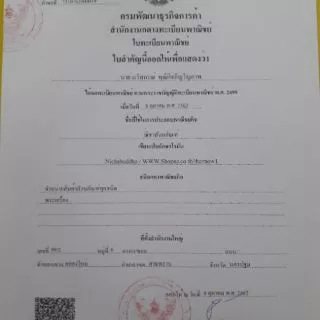 ม้าลาย ม้า ม้าลายแก้บน งานปูนปั้นคุณภาพ สูง 9cm เรซิน 9cm