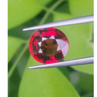 พลอยโรโดไลต์กาเน็ท (Rhodolite Garnet) 3.34 กะรัต (Cts.)