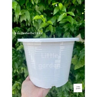 Little กระถางสีขาว 8 นิ้ว(วัดจริง7.5นิ้ว)(สีขาวออร่าA+🤍)
