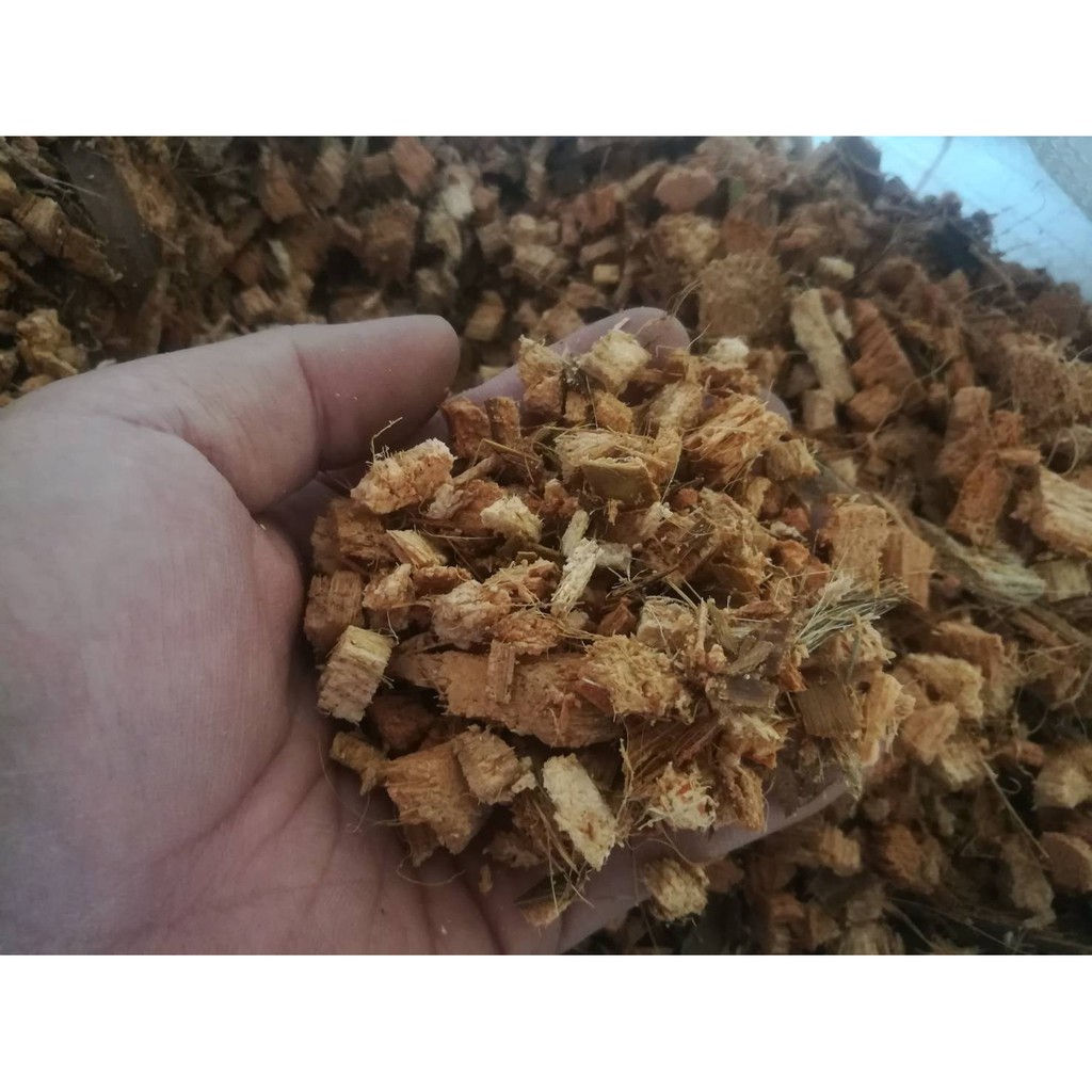 กาบมะพร้าวสับเล็ก 1 ถุง 500กรัม - รูปที่ 2