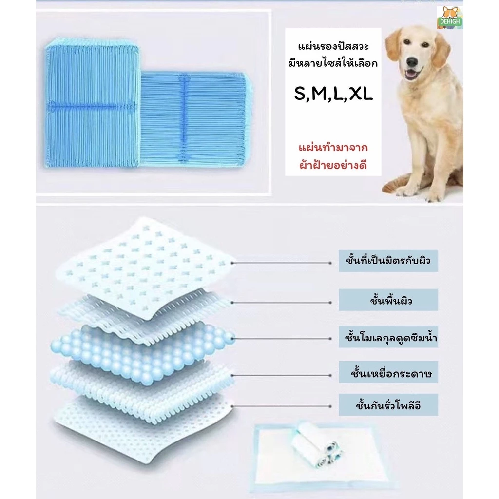 DEHIGH แผ่นรองฉี่สุนัข ช่วยฝึกขับถ่าย ซึมซับดี thumbnail 5