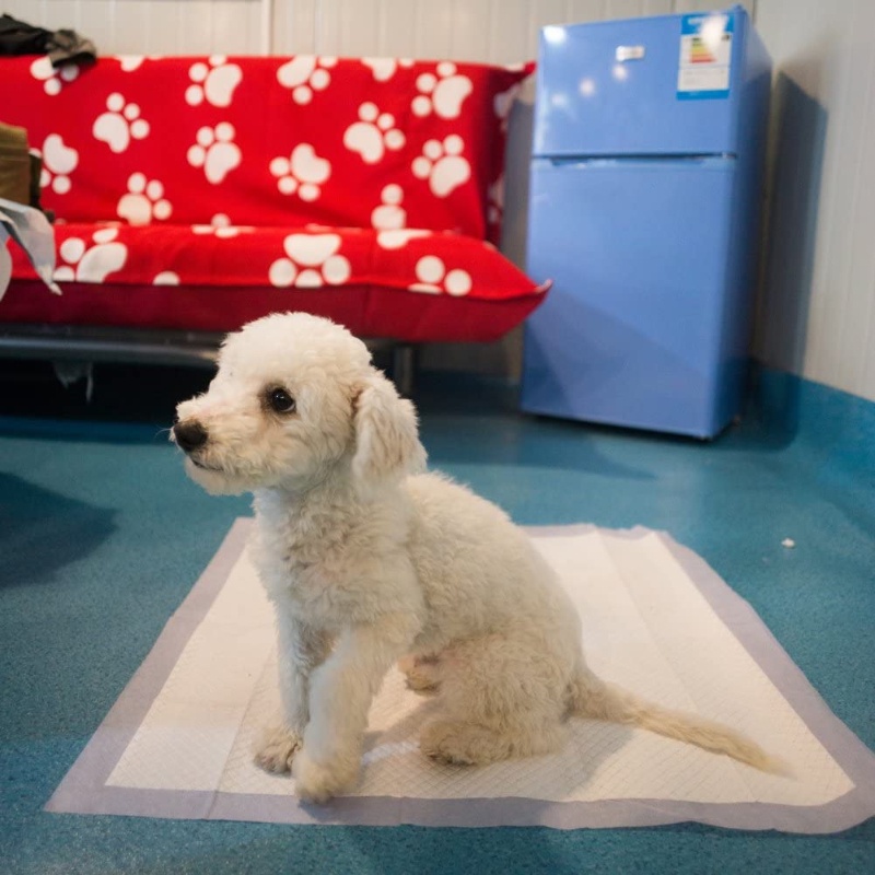 AimayaPet แผ่นรองฉี่สุนัข 100pcs แมว แผ่นรองฉี่สัตว์เลี้ยง ช่วยฝึกขับถ่าย ระงับกลิ่น ซึมซับได้ดี