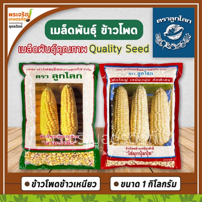 เมล็ดพันธุ์ข้าวโพด ข้าวโพดข้าวเหนียว (1 กิโลกรัม) ข้าวโพดเทียนสายน้ำผึ้ง ข้าวโพดไข่มุกปุ้มปุ้ย เมล็ดพันธุ์ผัก ตราลูกโลก