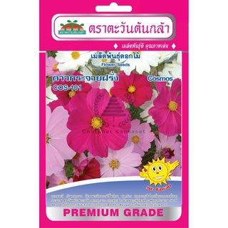 เมล็ดพันธ์ุ ดาวกระจายฝรั่ง COS-101 บรรจุ 0.15 กรัม/ซอง ตราตะวันต้นกล้า