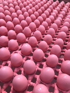 🥚ไข่เยี่ยวม้า ปลอดสาร สูตรโบราณ บรรจุ 6 ฟอง 🥚