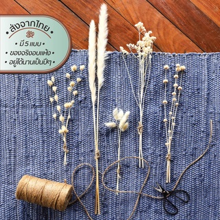 Mini Bouquet-Bleached ช่อดอกไม้ฟอกสีอบแห้งจิ๋ว | ต้นไม้ ดอกไม้ ใบไม้ ไม้เลื้อย ไม้ประดับ ดอกไม้แห้ง ฟอกสี ขาว กิ่ง จิ๋ว