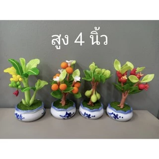 ต้นไม้มงคง สูง 4 นิ้ว ราคา 35 - 45 บาท