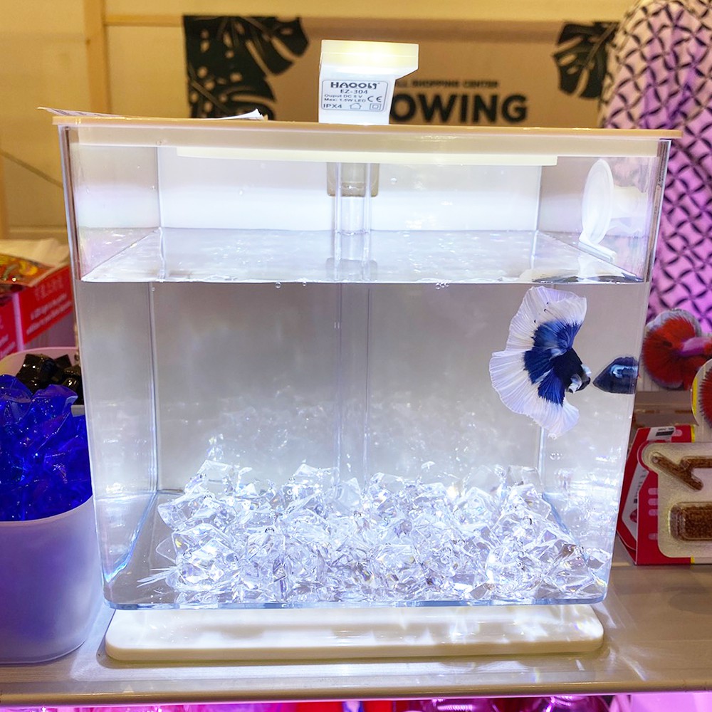 คริลตัสตกแต่งโหลปลากัด ตกแต่งตู้ปลา หินพลาสติกสีสันสวยงาม สินค้าพร้อมส่ง!!! - รูปที่ 4