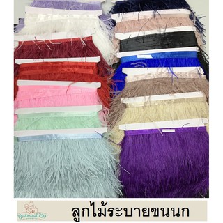 19 สี ลูกไม้ระบาย ขนนก set1 พู่เล็ก